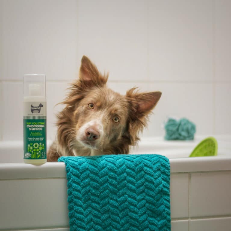 Produits de soin pour chiens et chats