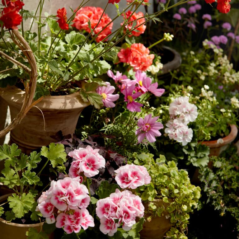 pots recyclables