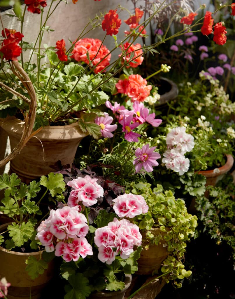 pots recyclables