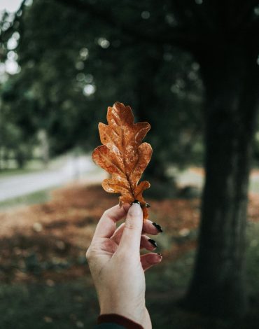 pexels-fotios-photos-34065199-1